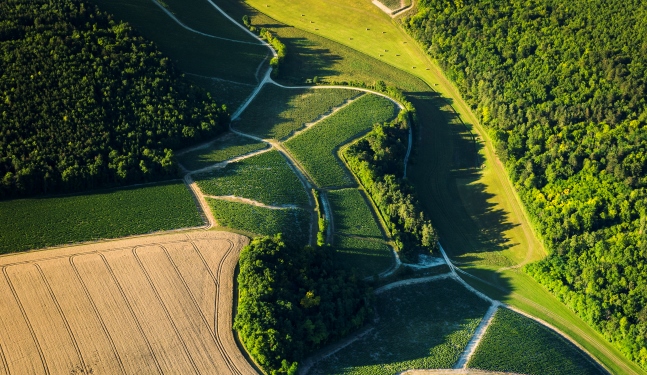 沃拉贡/Vaux Ragons